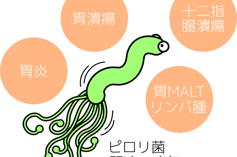 ピロリ菌とは